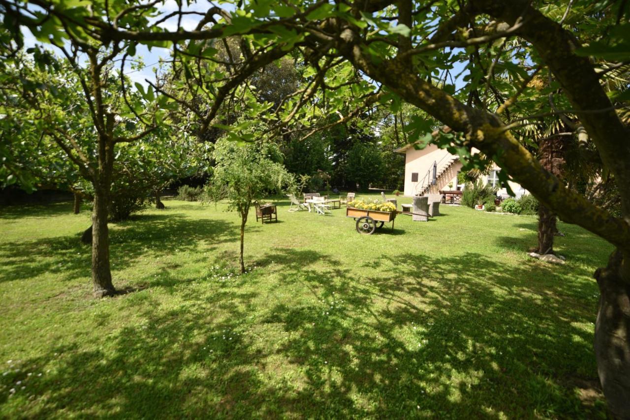 Capannone111 Bed & Breakfast Castiglione di Ravenna Dış mekan fotoğraf